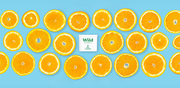 How to set up your Wild