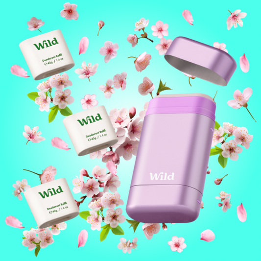 Cherry Blossom + Purple Case Trio Pack