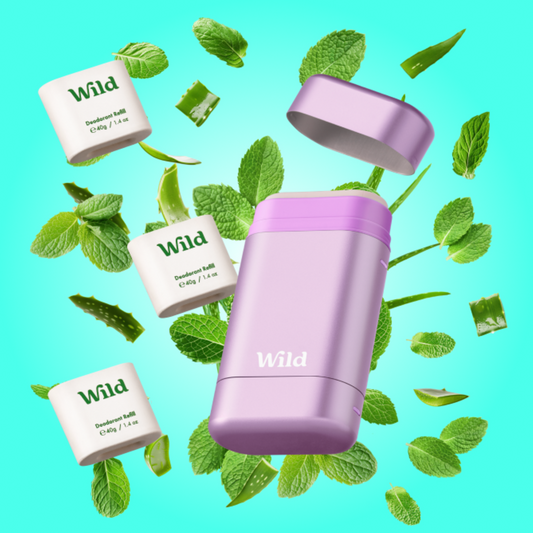 Purple Case & Mint & Aloe Vera Refill Trio Pack