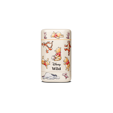 Disney Winnie the Pooh Stick Deodorant Case