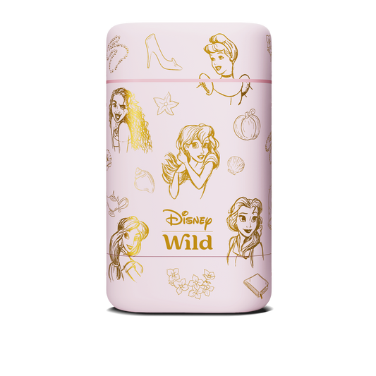 Disney Princess Stick Deodorant Case