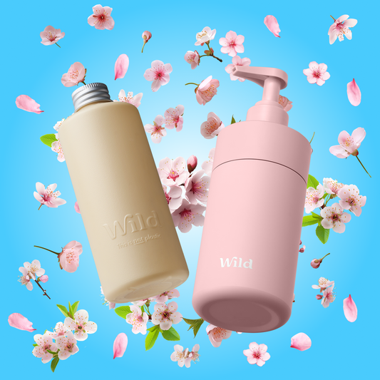 Rose Body Wash Case + 1 Cherry Blossom
