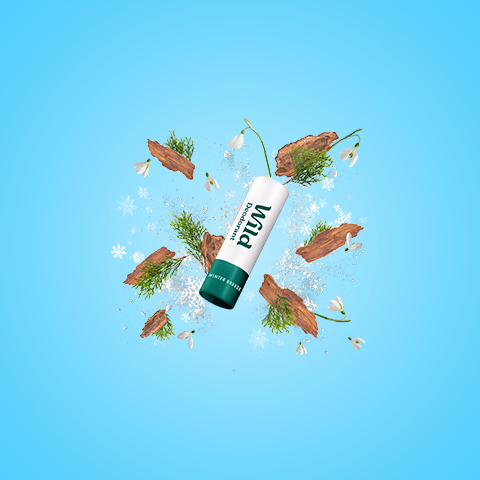 Winter Breeze Mini Stick Deodorant