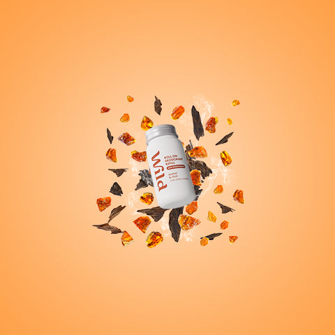 Amber & Oud Antiperspirant Roll On Refill
