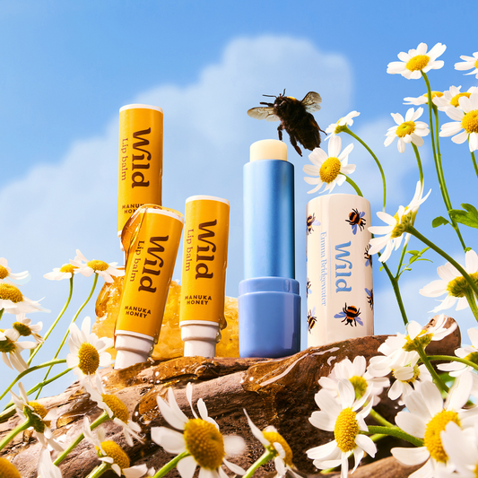 NEW! Emma Bridgwater Bee Lip Balm - Manuka Honey Trio Pack